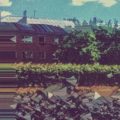 Nico Seel - Home is where the Drone is